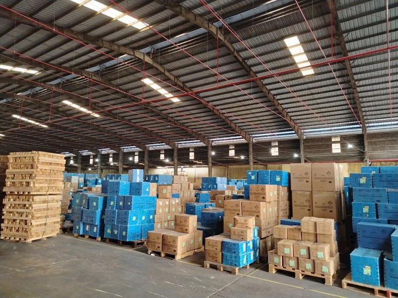 Thiết Kế Xây Dựng Nhà Xưởng Đắk Lắk – Tối Ưu Hiệu Quả Sản Xuất Ngay Từ Giai Đoạn Khởi Đầu Thiet-Ke-Xay-Dung-Nha-Xuong-Đak-Lak-5